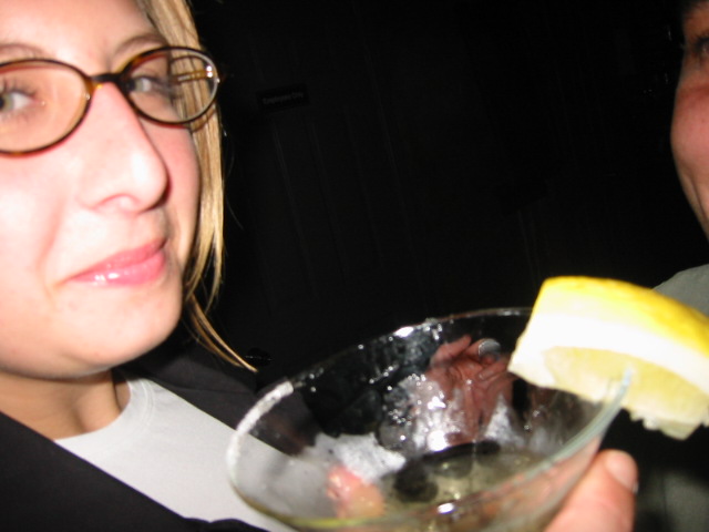 100-0088_IMG.JPG
