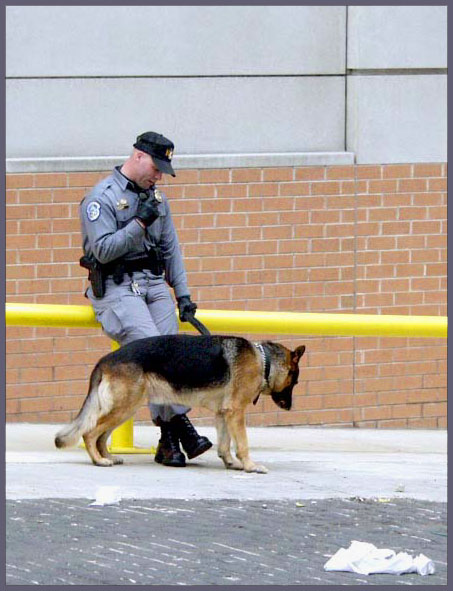 near DC Capitol, high security