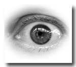 Eyeball-M.jpg