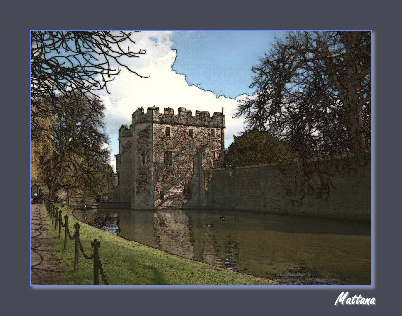 The Bishops Palace, Wells