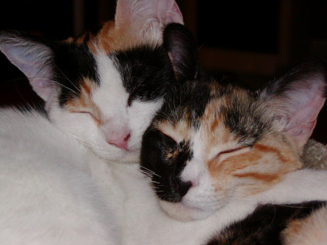 Sisterly Hug
