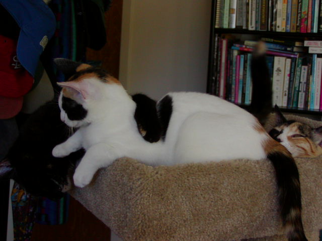 P1010031.JPG