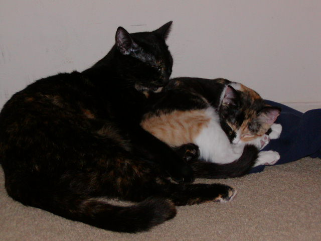 P1010049.JPG
