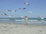 Grateful,  yet hungry seagulls flock to Sarah