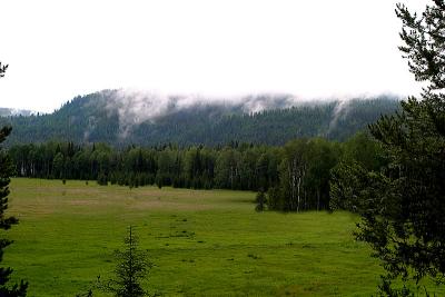 M040153web.jpg
