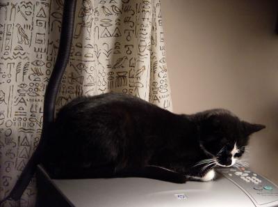 Petra on printer duty