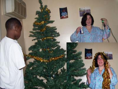 Hey Pauline! Don't Drink and Decorate the Christmas Tree!