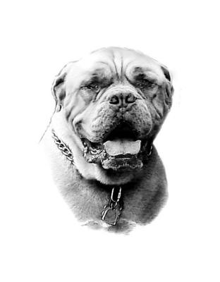 u8/medoras/medium/37375965.BigDogGuyWEB.jpg