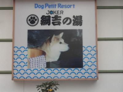 dog_spa