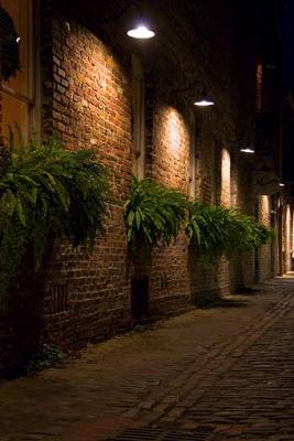 Charleston Cobblestone Alley