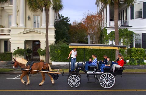 Charleston Carriage Tour1