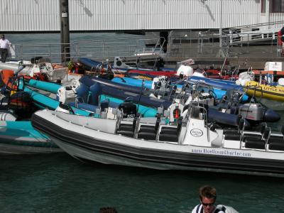 Cowes Week 2004