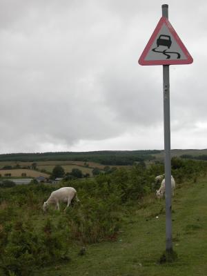 Brecon Beacons National Park