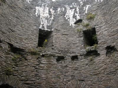 Cilgerran Castle