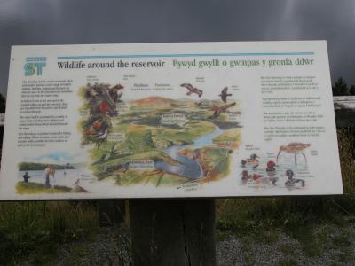 Clywedog