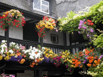 Brading