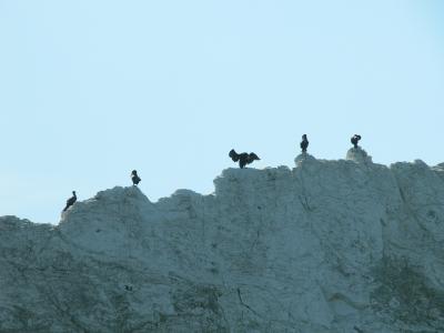 The Needles