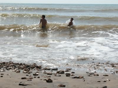 Brook Bay