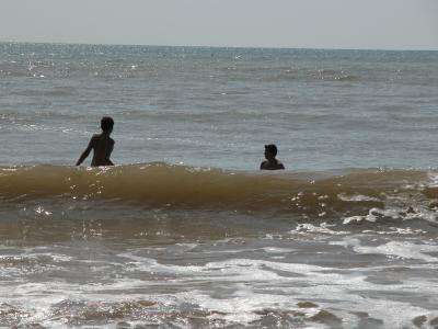 Brook Bay