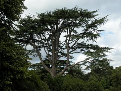 Osborne House, East Cowes