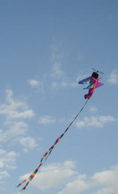 My twin grand son's kite...