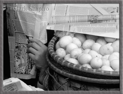 Eggs - Hanoi