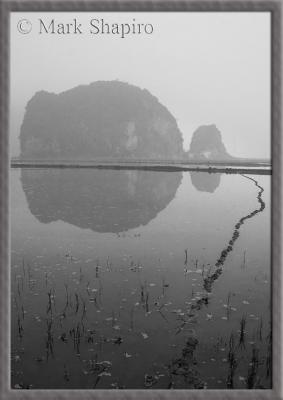 Foggy Morning - Tam Coc