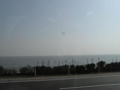 PC080426.JPG