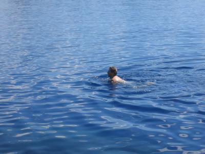 Bernie in the water