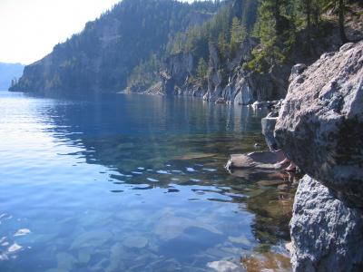 Shoreline