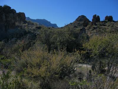 Towards Flatiron