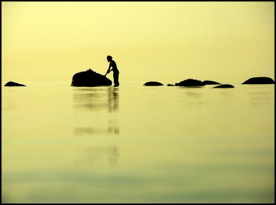 u8/mtf_foto_studies/medium/32802009.PICT1250.jpg