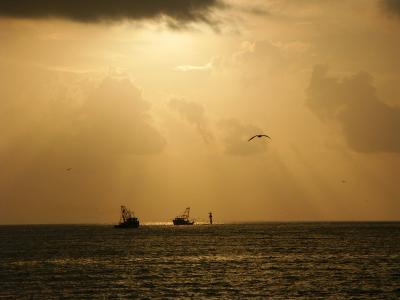 Fishing Boats under a stormy sky by Xavier Cohen.jpg