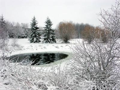 Freezing Beaver Pond by howard1