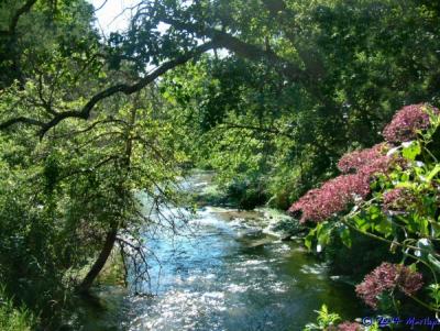 long pine creek