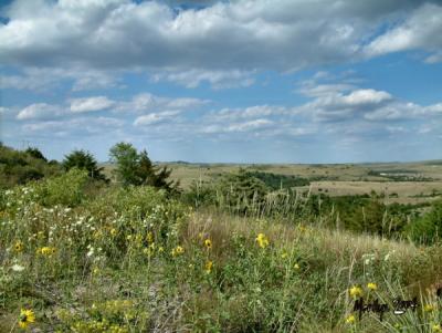 the sandhills alive with sun and shadows