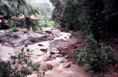 Chang Mai Province