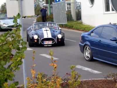 u8/nogaroblue/medium/37231580.ACCobra.jpg