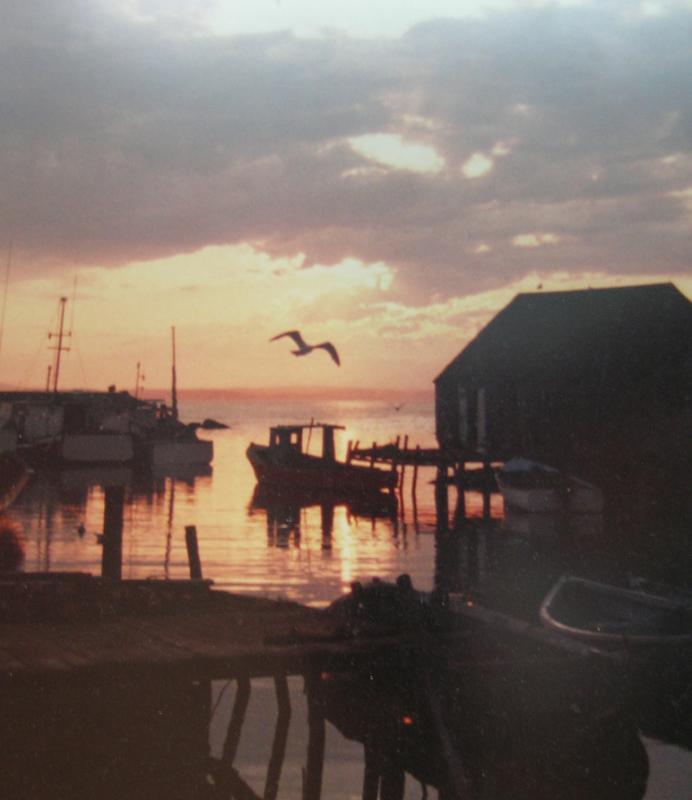 Perrys-Cove.jpg