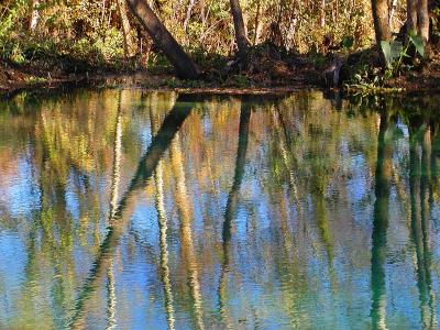12 11 04 reflection impressions, San Marcos River, TX