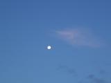 Shiny moon.JPG