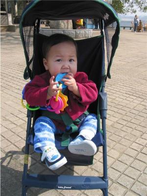 Anna chewing toys