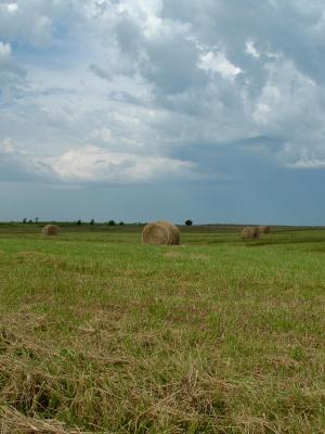 u8/patcarter/medium/32768021.haybales.jpg