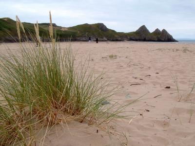 three cliffs, Gower