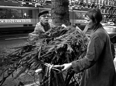 Shopping for a christmas tree in Amsterdam