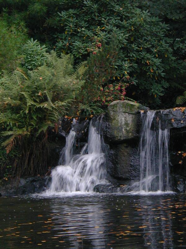 Pa090015.jpg