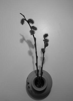 P1010068_bw.jpg