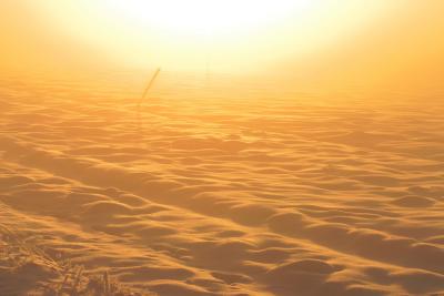 Field of snow