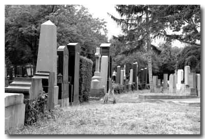 Zentralfriedhof Vienna