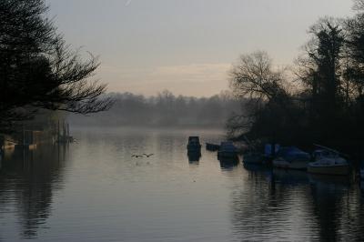 Early morning on the River Thames